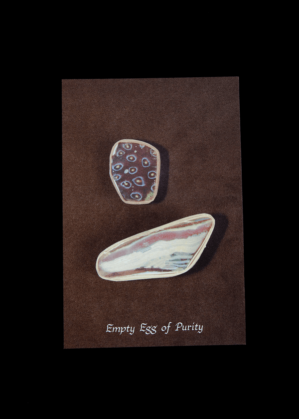 Empty Egg of Purity postcards