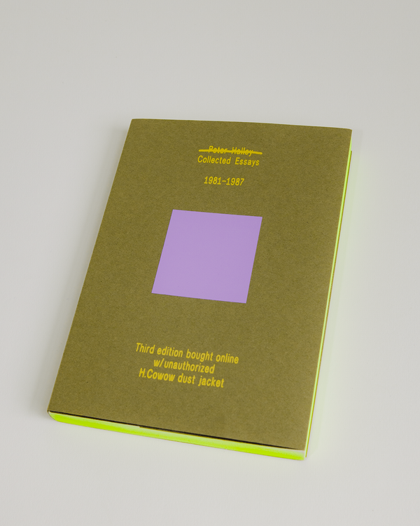 Peter Halley Collected Essays 1981-1987 (3rd Edition)
