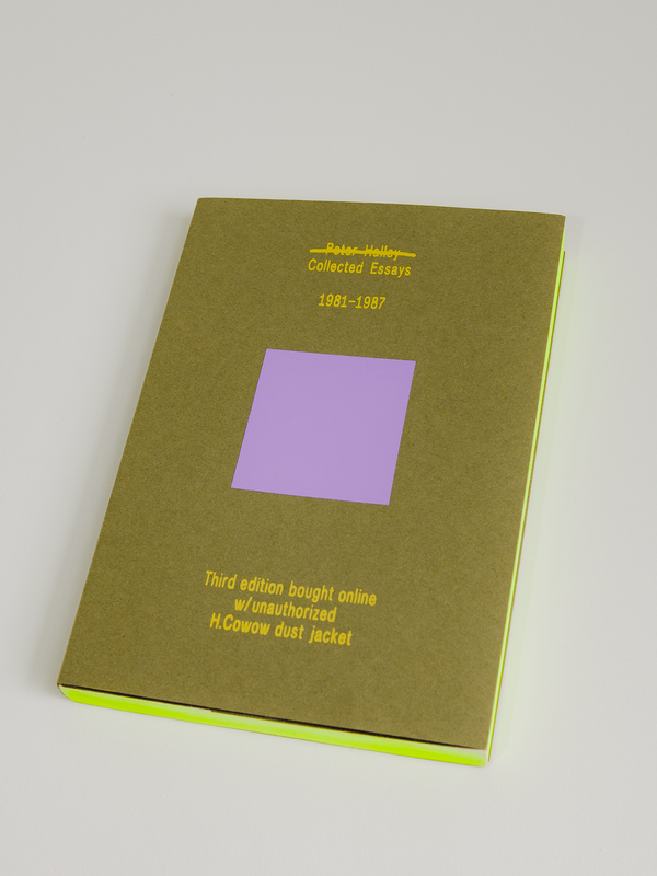 Peter Halley Collected Essays 1981-1987 (3rd Edition)