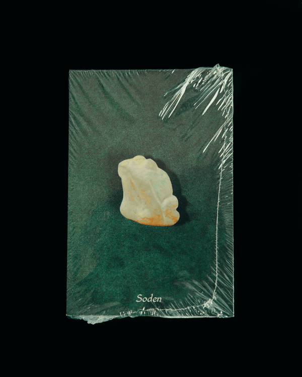 Empty Egg of Purity postcards
